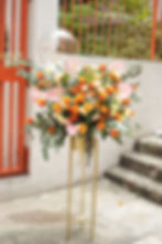 冬季花卉怎么养:室内保温与控水的关键细节 冬季花卉怎么养:室内保温与控水的关键细节