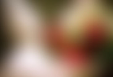 教师节送花怎么搭配：简洁得体的花束选择