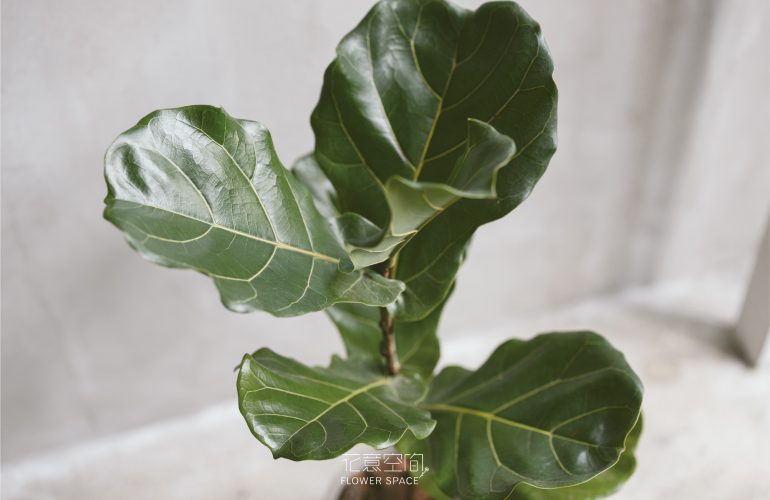 新娘手捧花怎么选：婚纱款式与花束造型的搭配