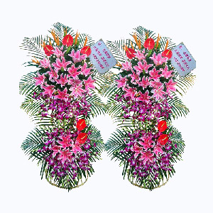 圆形花束怎么做出饱满感：花材分布与高度控制