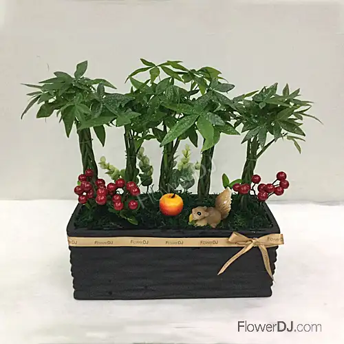 送老师什么花比较得体：颜色与花材选择建议