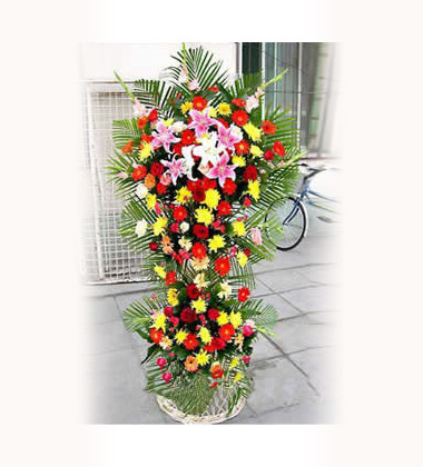 鲜花买回家先做什么：醒花处理的正确顺序