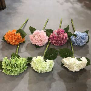 洋桔梗适合做什么花束：花型特点与配色建议